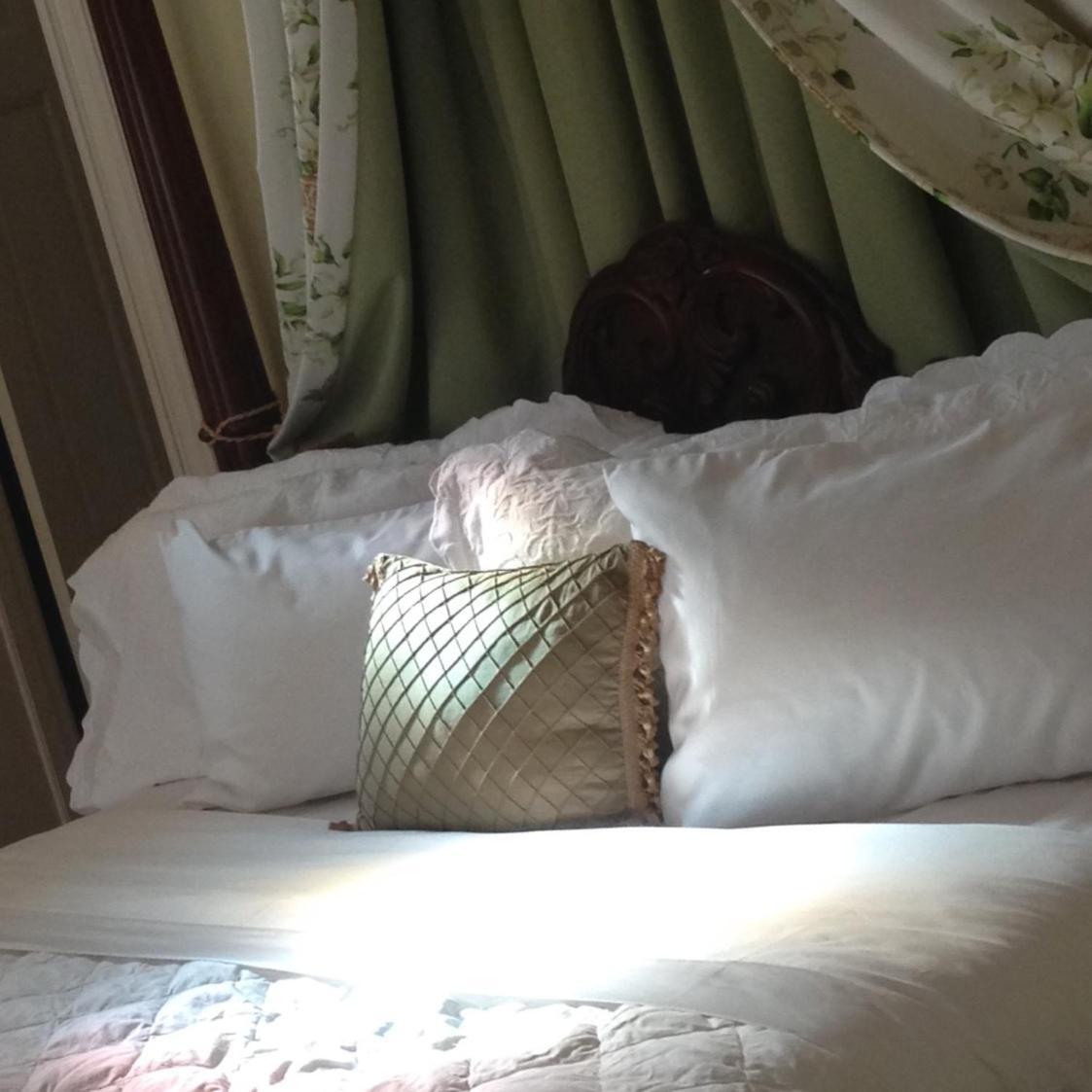 Bed and Breakfast Burke Mansion à Macon Extérieur photo